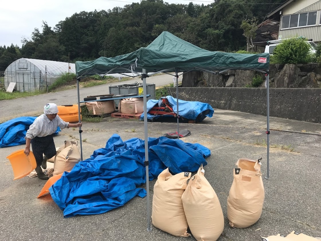 NOROSHI FARM　JOURNAL　2025.07
