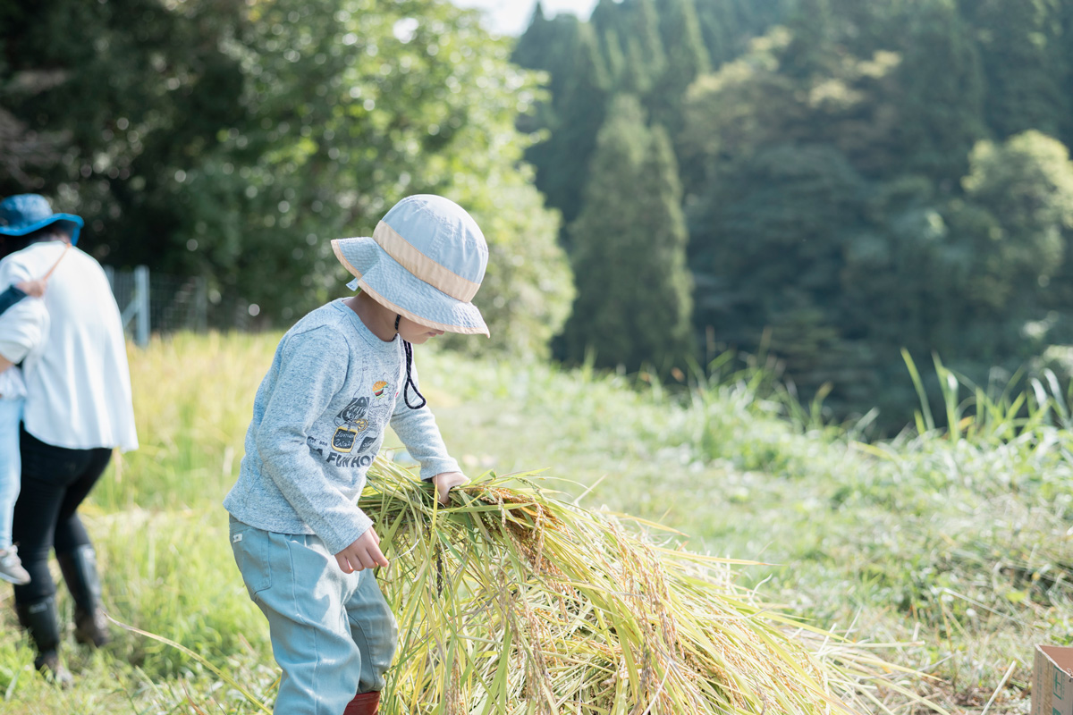 NOROSHI FARM　JOURNAL　2025.11