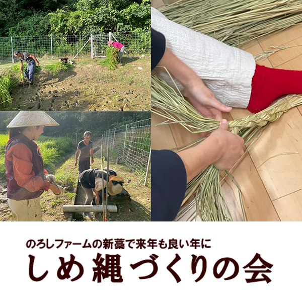 しめ縄づくりの会　のろしファームの新藁で来年もいい年に