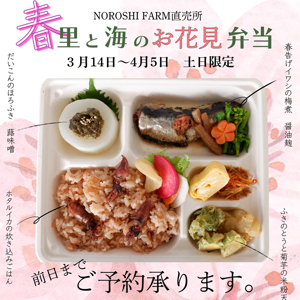 『春の里と海のお花見弁当』予約受付中！